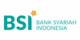bsi (1)